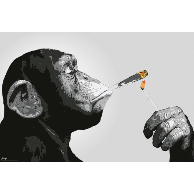 Poster STEEZ Smoking Funky Monkey Erba Marijuana 61X91,5 CM